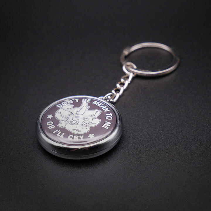 Don't be mean to me keychain