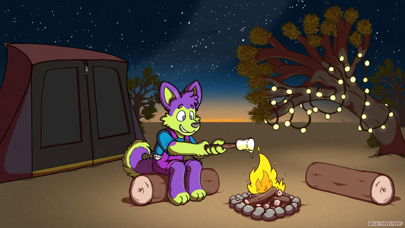 Nacho Husky Camping